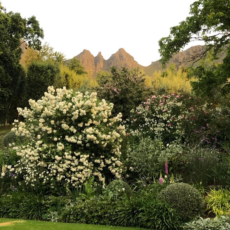 Longfield House Villa Stellenbosch Eksteriør billede